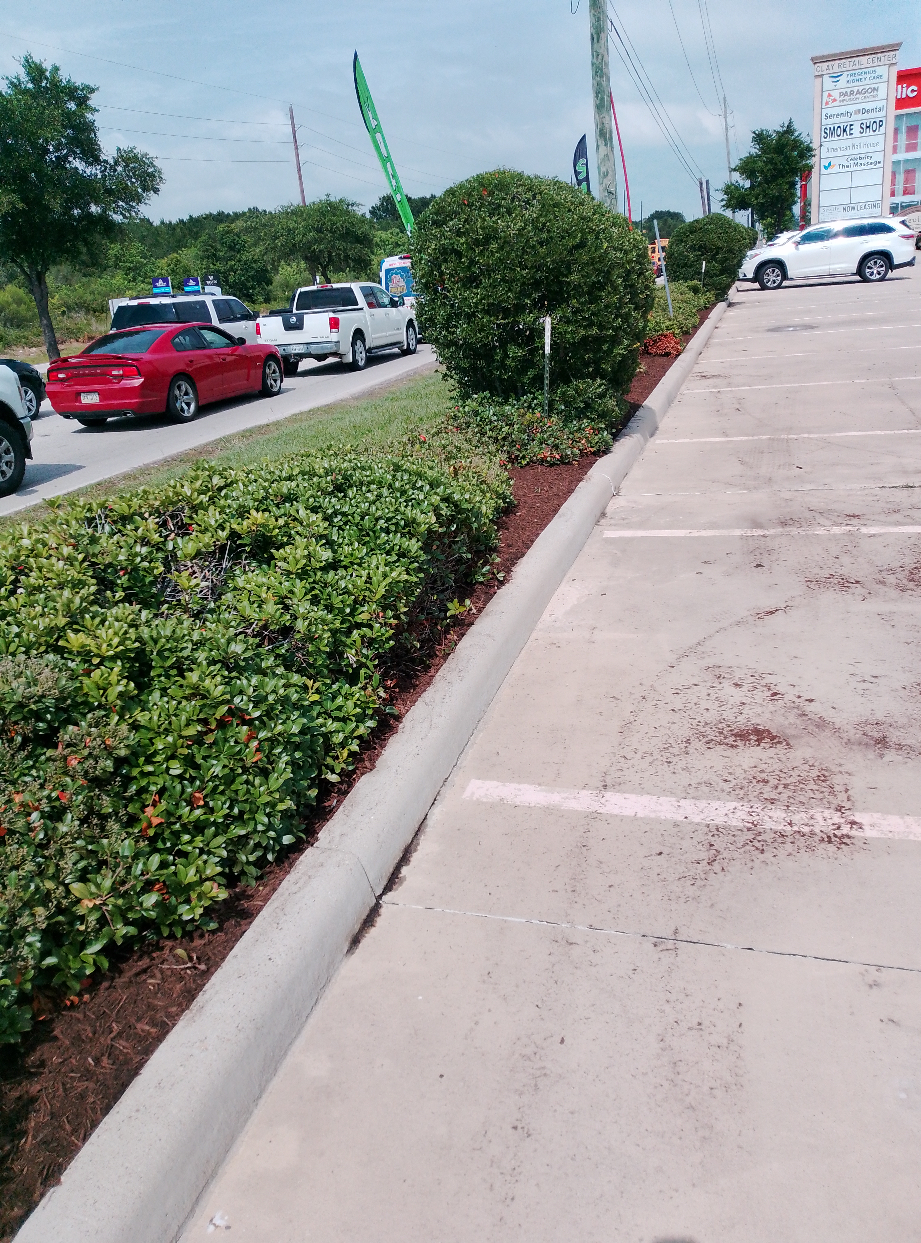 Commercial Landscape