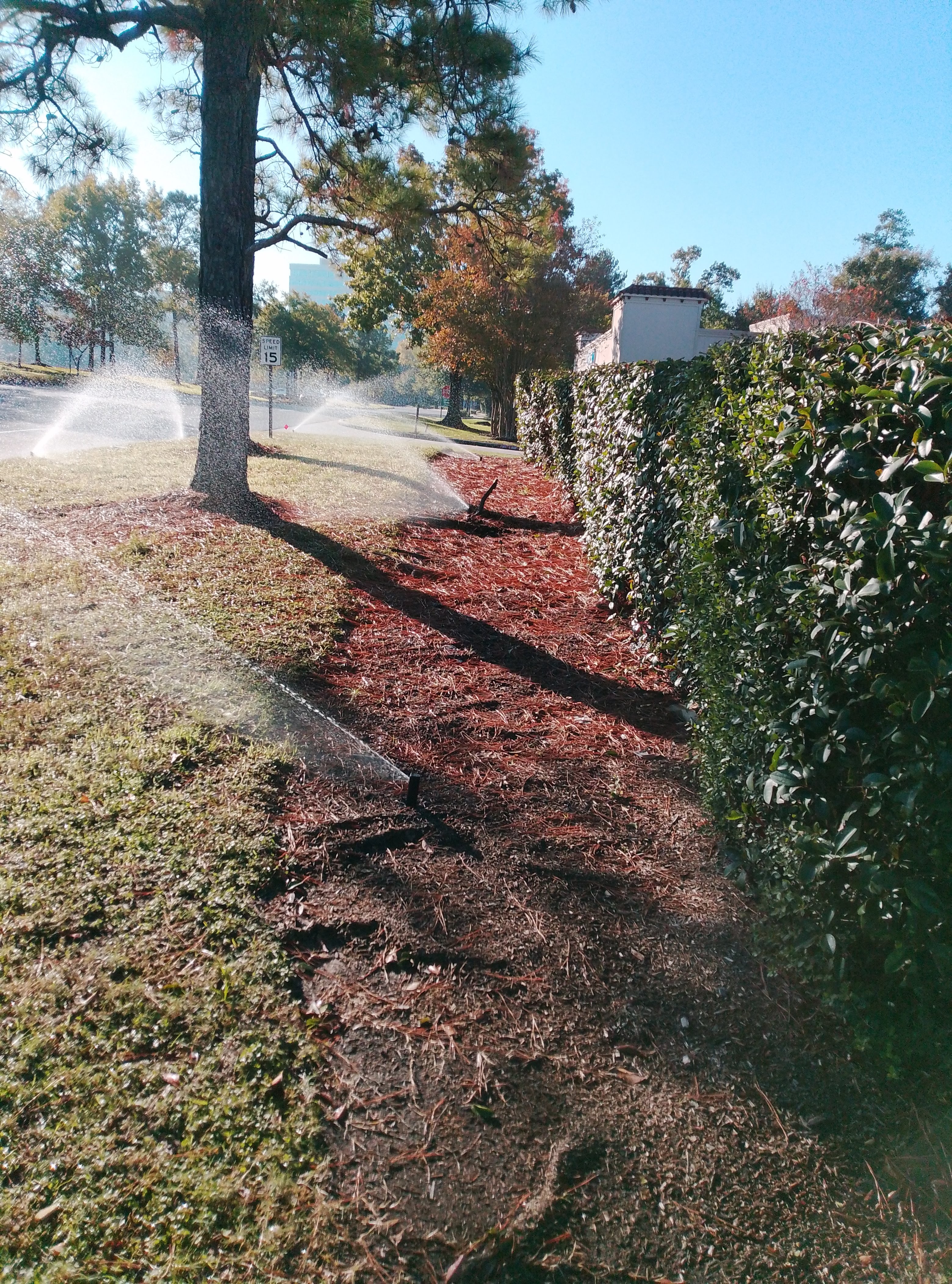 Irrigation Project