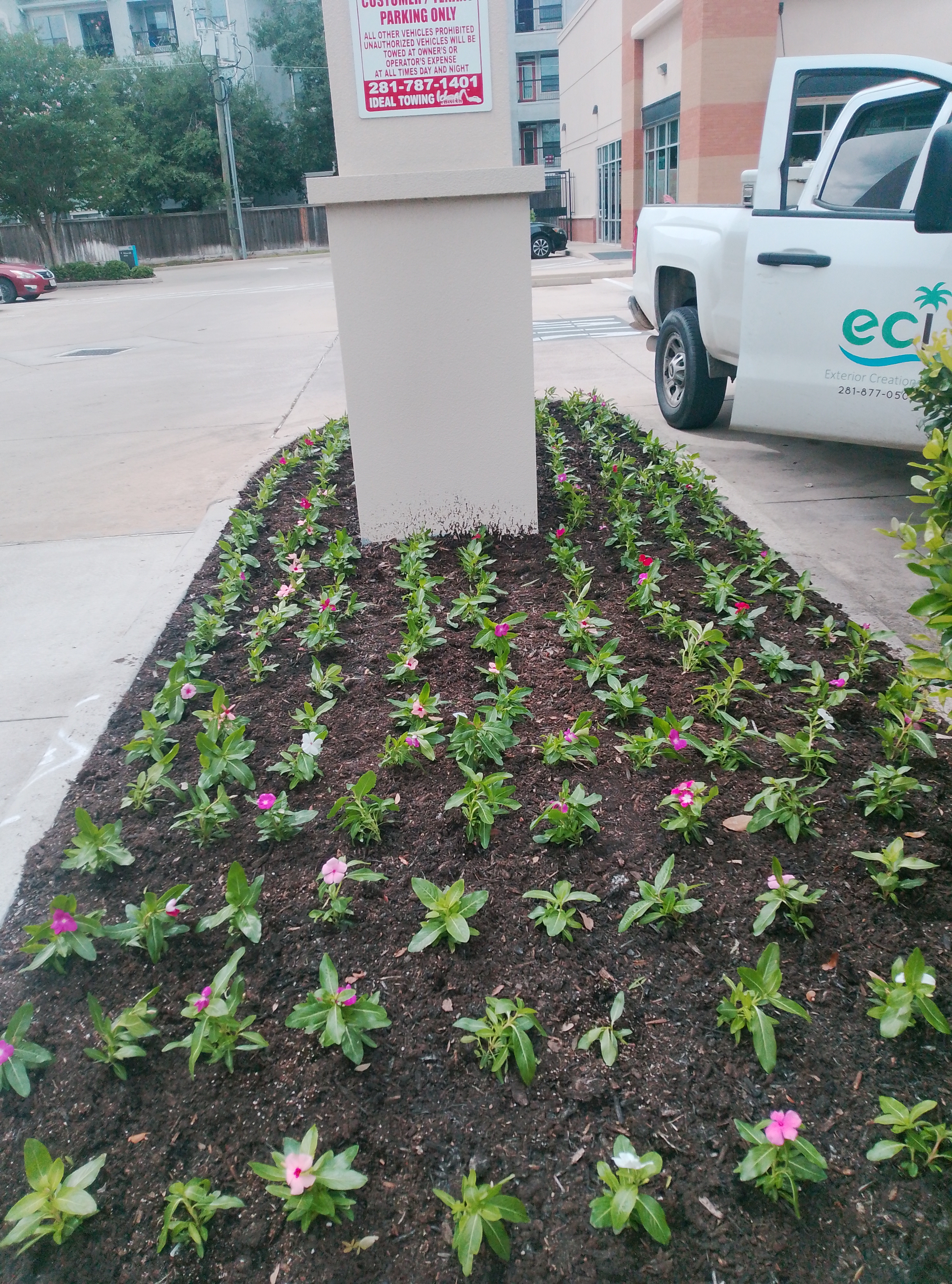 Landscape Enhancement