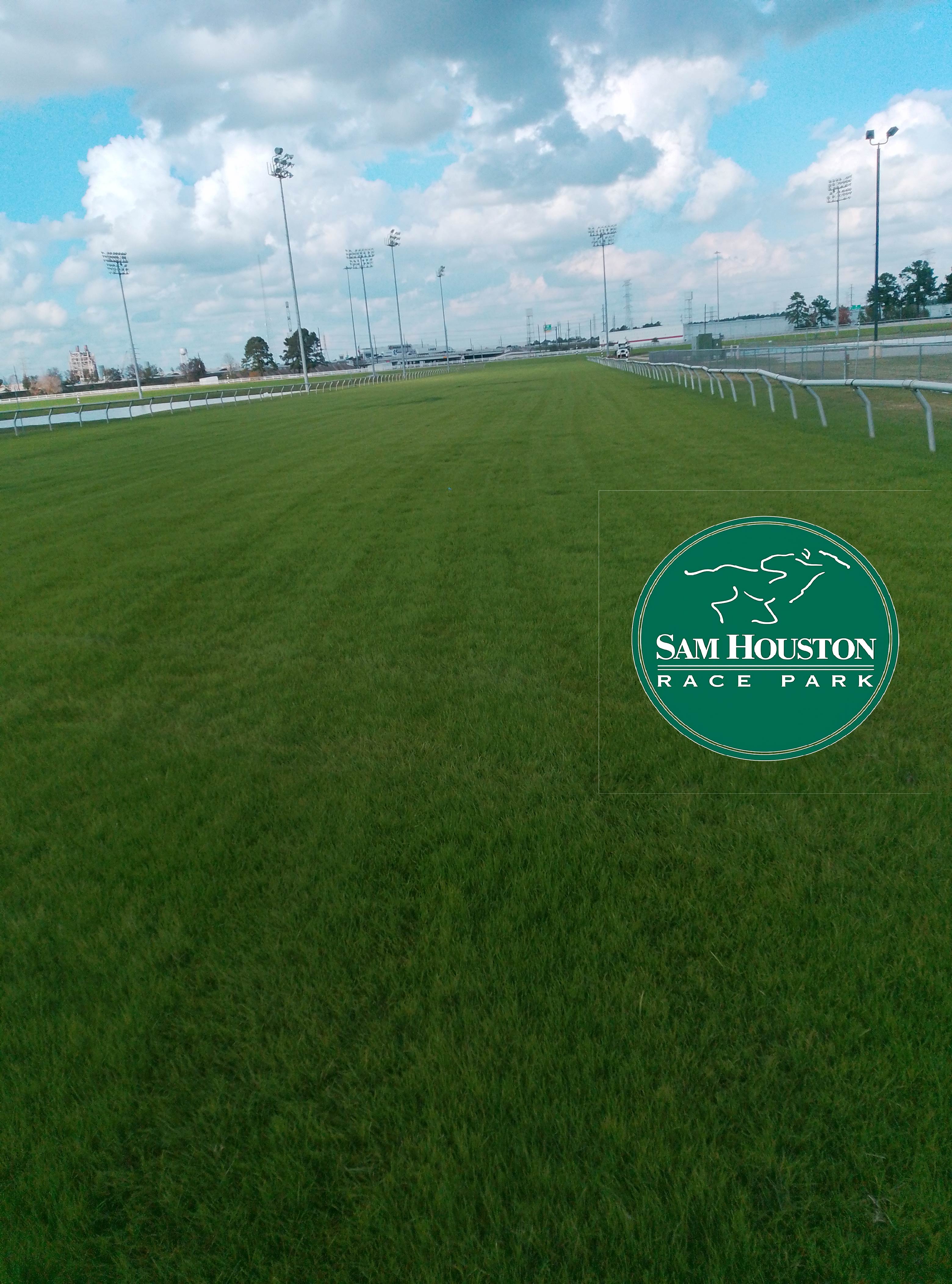 Commercial Landscape Maintenance